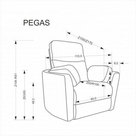 PEGAS fotel wypoczynkowy popielaty (1p1szt)